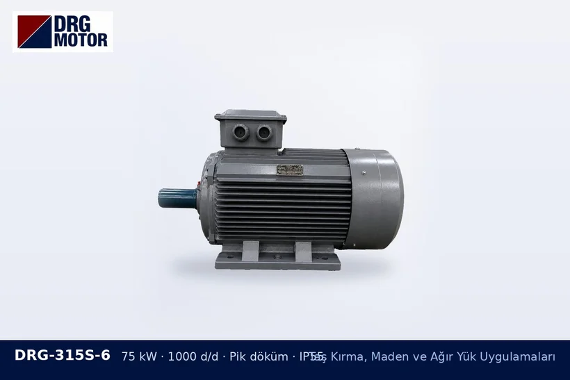 DRG-315S-6 – Taş Kırma, Maden ve Ağır Yük Uygulamaları DRG-315S-6 75 kW 1000 d/d pik döküm gövdeli DRG trifaze motor – kırıcı motoru 1000 mi 1500 devir mi