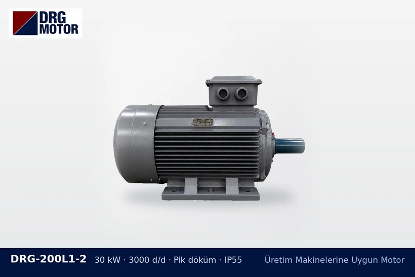DRG-200L1-2 – Üretim Makinelerine Uygun Motor DRG-200L1-2 30 kW 3000 d/d pik döküm gövdeli DRG trifaze motor – konveyör uzatma motor yeterliliği