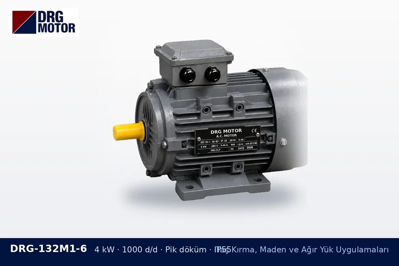 DRG-132M1-6 – Taş Kırma, Maden ve Ağır Yük Uygulamaları DRG-132M1-6 4 kW 1000 d/d pik döküm gövdeli DRG trifaze motor – kum yıkama makinesi motoru