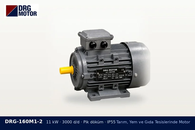 DRG-160M1-2 11 kW 3000 d/d pik döküm gövdeli DRG trifaze motor – kurutma makinesi fan ve tambur motoru