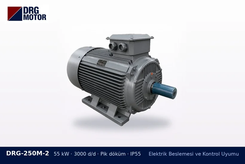 DRG-250M-2 55 kW 3000 d/d pik döküm gövdeli DRG trifaze motor – yumuşak yol verici büyük motor