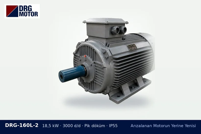 DRG-160L-2 18,5 kW 3000 d/d pik döküm gövdeli DRG trifaze motor – motor mili kırılması