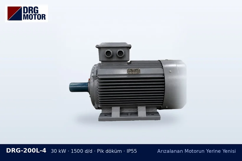 DRG-200L-4 30 kW 1500 d/d pik döküm gövdeli DRG trifaze motor – acil motor siparişi bilgileri