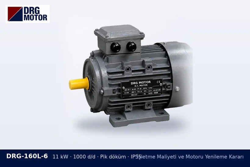 DRG-160L-6 – İşletme Maliyeti ve Motoru Yenileme Kararı DRG-160L-6 11 kW 1000 d/d pik döküm gövdeli DRG trifaze motor – kapasite artışı için motor gücü payı