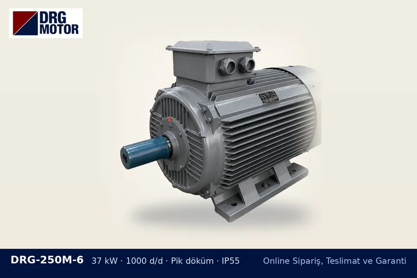 DRG-250M-6 37 kW 1000 d/d pik döküm gövdeli DRG trifaze motor – motor nakliye ücreti