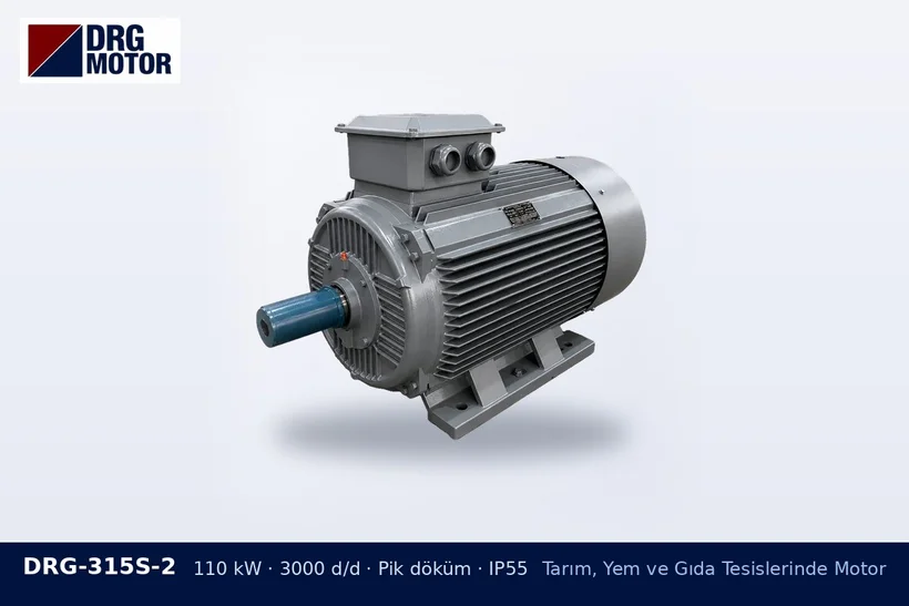 DRG-315S-2 – Tarım, Yem ve Gıda Tesislerinde Motor DRG-315S-2 110 kW 3000 d/d pik döküm gövdeli DRG trifaze motor – pelet makinesi motoru