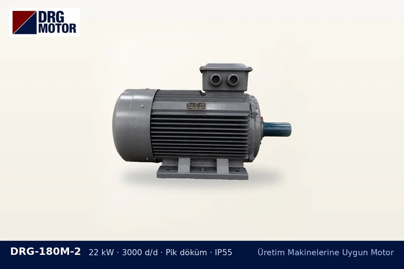 DRG-180M-2 22 kW 3000 d/d pik döküm gövdeli DRG trifaze motor – plastik kırma makinesi volan etkisi