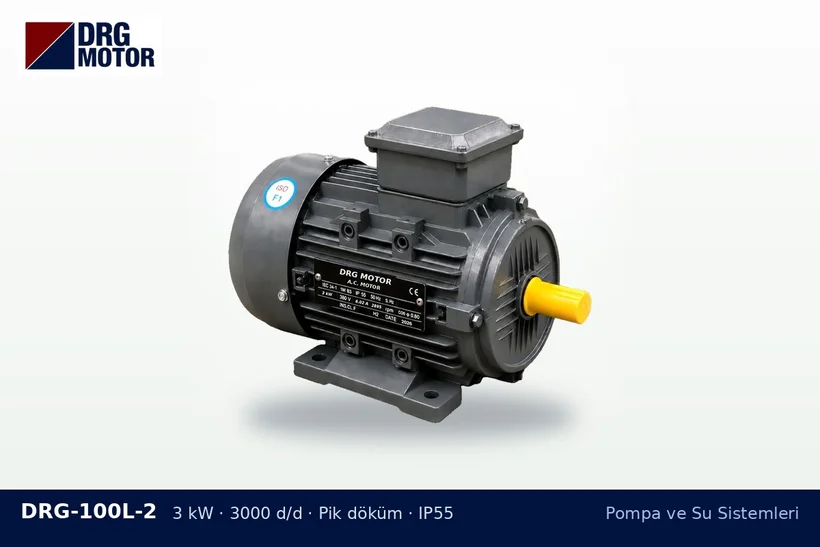 DRG-100L-2 3 kW 3000 d/d pik döküm gövdeli DRG trifaze motor – monoblok pompa motoru değişimi