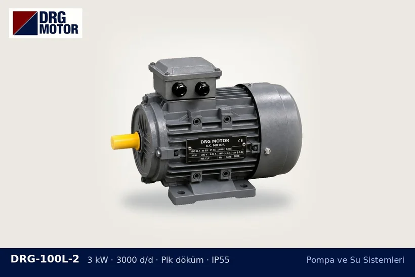 DRG-100L-2 – Pompa ve Su Sistemleri DRG-100L-2 3 kW 3000 d/d pik döküm gövdeli DRG trifaze motor – pompa basıncı artmıyor