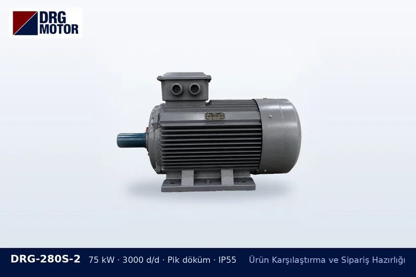 DRG-280S-2 75 kW 3000 d/d pik döküm gövdeli DRG trifaze motor – toplu motor sevkiyat planı