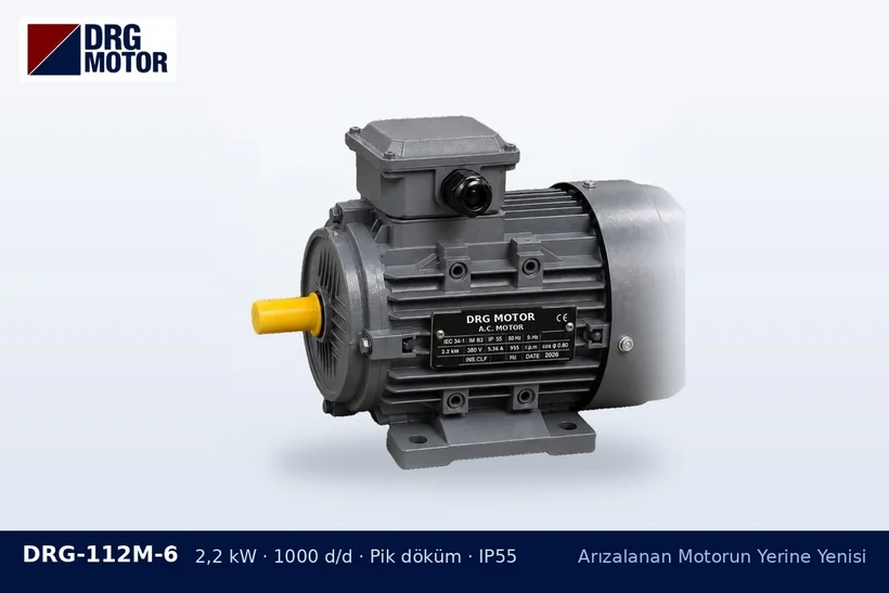 DRG-112M-6 2,2 kW 1000 d/d pik döküm gövdeli DRG trifaze motor – rulmanı dağılan motor