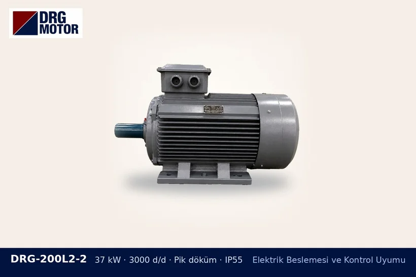 DRG-200L2-2 37 kW 3000 d/d pik döküm gövdeli DRG trifaze motor – şantiye panosu motor seçimi