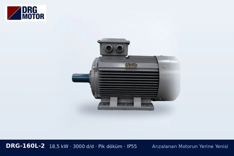 DRG-160L-2 18,5 kW 3000 d/d pik döküm gövdeli DRG trifaze motor – sargısı yanan motor gövdesi