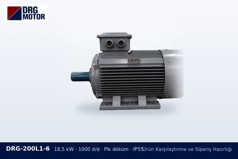 DRG-200L1-6 18,5 kW 1000 d/d pik döküm gövdeli DRG trifaze motor – motor teknik çizimi
