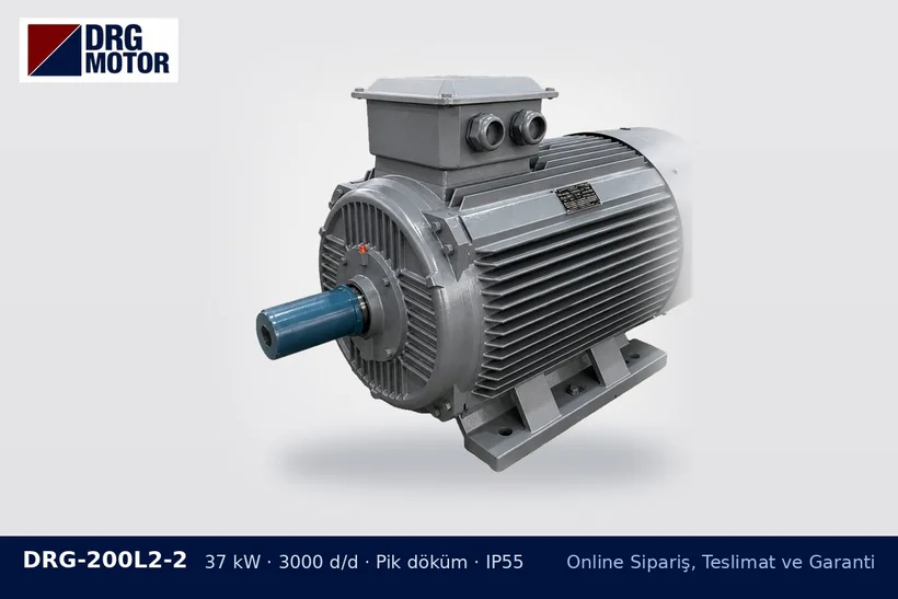 DRG-200L2-2 37 kW 3000 d/d pik döküm gövdeli DRG trifaze motor – Buca depodan teslim alma