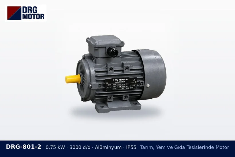 DRG-801-2 0,75 kW 3000 d/d alüminyum gövdeli DRG trifaze motor – soğuk hava deposu motoru