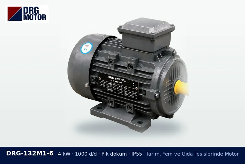 DRG-132M1-6 – Tarım, Yem ve Gıda Tesislerinde Motor DRG-132M1-6 4 kW 1000 d/d pik döküm gövdeli DRG trifaze motor – soğuk sıkım yağ presi motoru