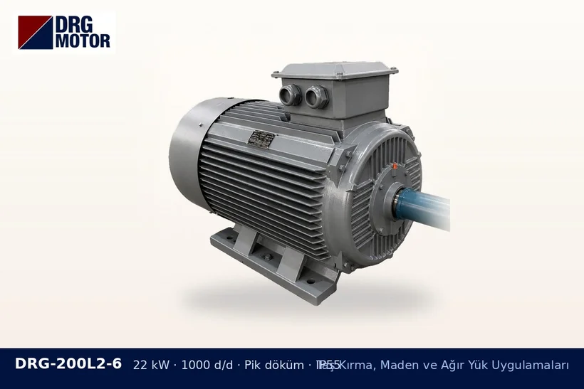 DRG-200L2-6 22 kW 1000 d/d pik döküm gövdeli DRG trifaze motor – eğimli bant motor gücü