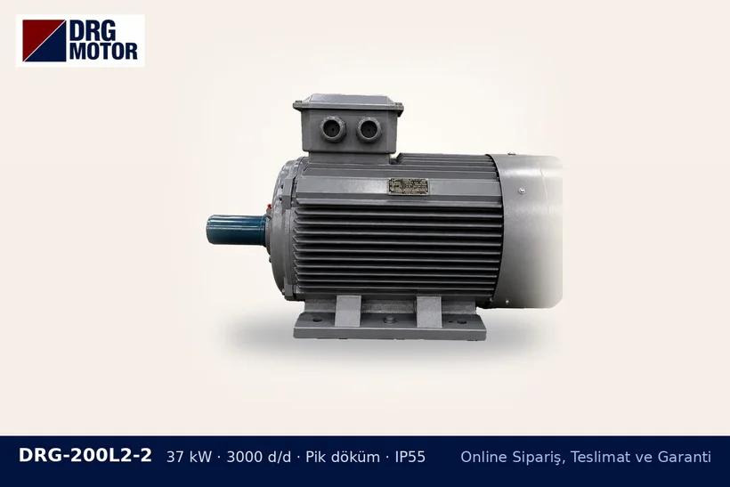 DRG-200L2-2 37 kW 3000 d/d pik döküm gövdeli DRG trifaze motor – hasarlı ambalaj teslimatı