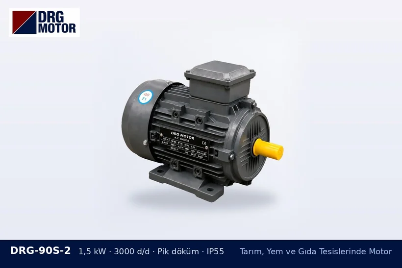 DRG-90S-2 1,5 kW 3000 d/d pik döküm gövdeli DRG trifaze motor – tohum selektör makinesi motoru