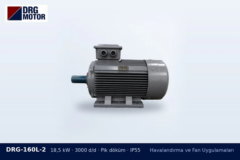 DRG-160L-2 – Havalandırma ve Fan Uygulamaları DRG-160L-2 18,5 kW 3000 d/d pik döküm gövdeli DRG trifaze motor – toz toplama fanı çark aşınması