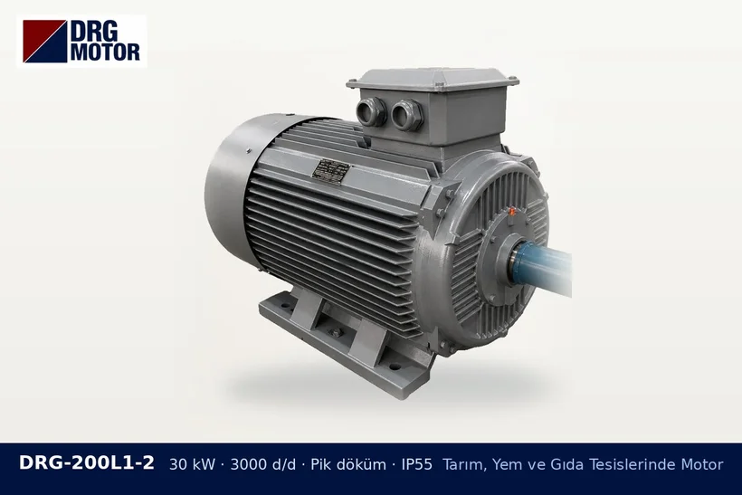 DRG-200L1-2 – Tarım, Yem ve Gıda Tesislerinde Motor DRG-200L1-2 30 kW 3000 d/d pik döküm gövdeli DRG trifaze motor – kuyruk milinden elektrik motoruna geçiş