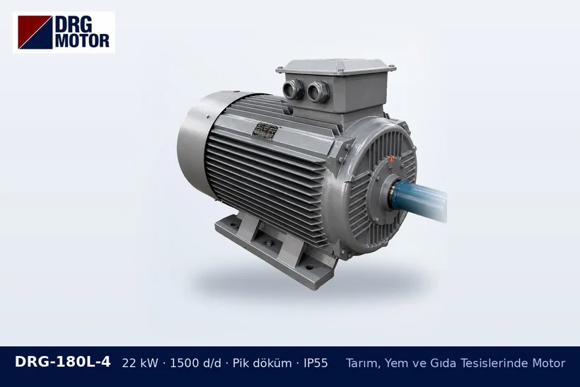DRG-180L-4 22 kW 1500 d/d pik döküm gövdeli DRG trifaze motor – vals motoru un değirmeni