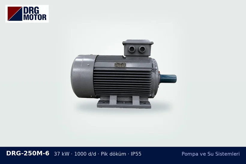 DRG-250M-6 37 kW 1000 d/d pik döküm gövdeli DRG trifaze motor – yangın pompası motoru değişimi