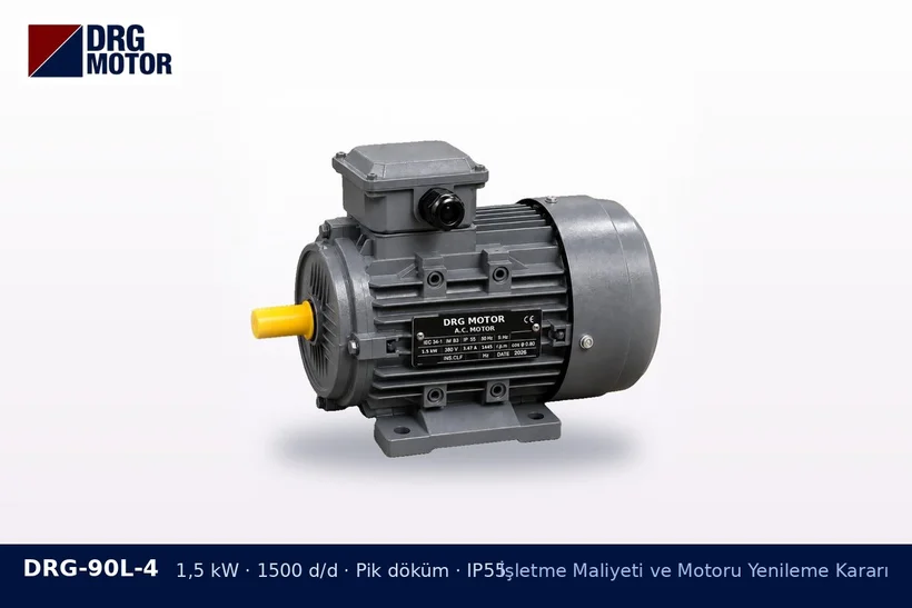 DRG-90L-4 1,5 kW 1500 d/d pik döküm gövdeli DRG trifaze motor – yedek motor bulundurma kararı