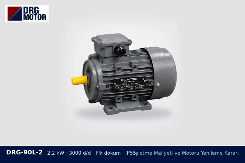 DRG-90L-2 2,2 kW 3000 d/d pik döküm gövdeli DRG trifaze motor – mevsimlik makinede motor yatırımı